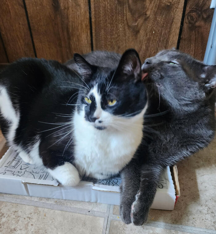 Marvin and Earl (Boyfriends)